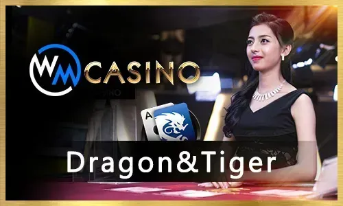 AP Gaming